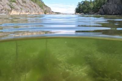 Testdugnad mot nitrogenutslipp