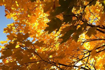 Kan bli indian summer i september