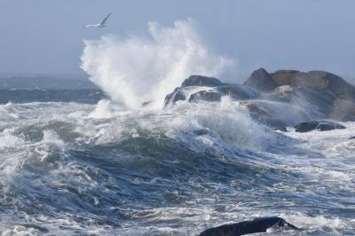 Kraftig vind og regn i vente: – Det blir jojo-vær