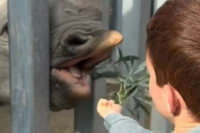 Deler private bilder