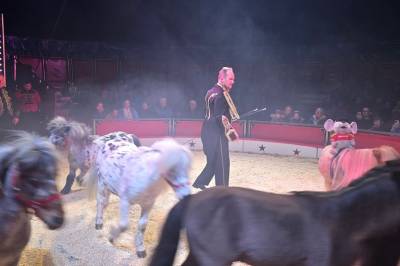 Klare for påskesirkus