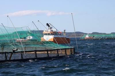 Små promiller gir millionutslag for kommunene