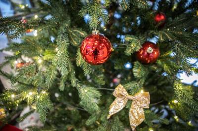 Dette ligger sannsynligvis under juletreet i år