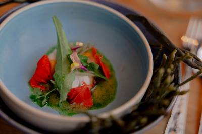 Norske restauranter får Michelin-stjerner