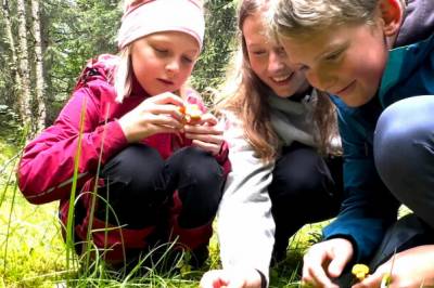 Barn og unge får fikse ødelagt natur