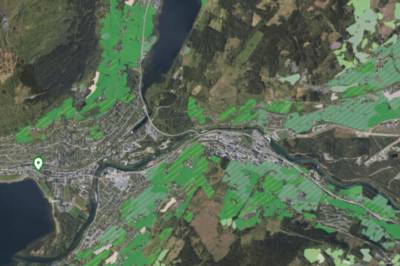 Her trivst gulrøtene best