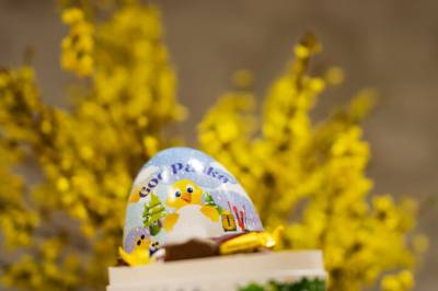 Forskning.nos påskequiz 2026!