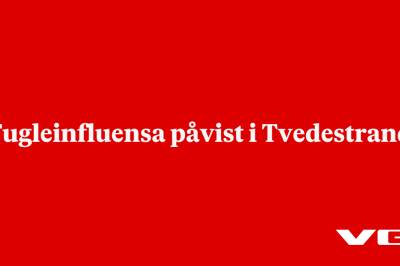 Fugleinfluensa påvist i Tvedestrand