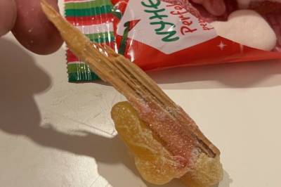 Ekkelt funn i julesnop