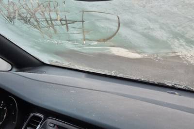 To anmeldt: - Veldig alvorlig