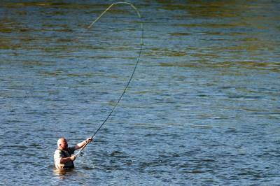 Laksefisket stanses i tre elver i Midt-Norge