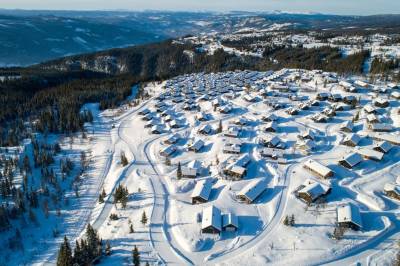 Jubler over historisk nedgang i hyttebygging: – Har vært vanvittig ødeleggende