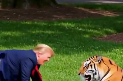 Trump deler film av folk som dør: Kritikere frykter for sinnstilstanden hans
