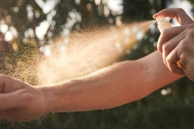 Mygg kan lære å bli tiltrukket av myggspray