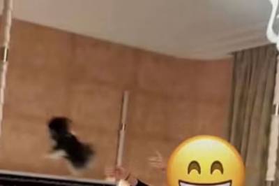 Isabel Raad svarer om hundebilde