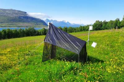 Vi vet lite om hvordan vi skal gi insektene gode livsvilkår. Det vil forskere gjøre noe med