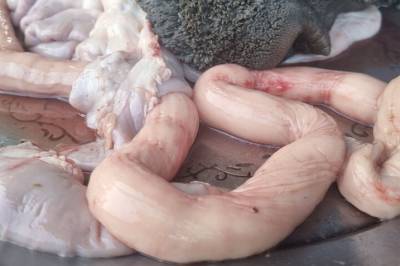 Vi spiser for lite innmat