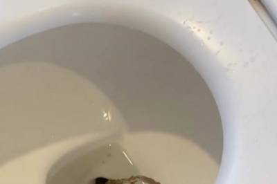 Fikk ubudent besøk i do