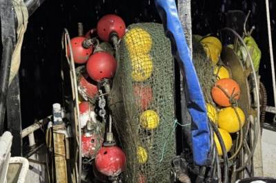 Vil bidra til økt kunnskap om rekefisket i Oslofjorden