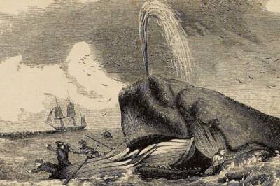 Ukens quiz: Test deg selv