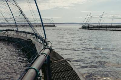 Urimelig å stenge studenter ute fra merdene