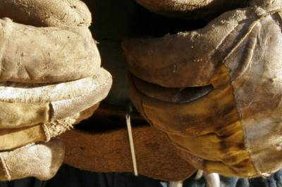 Stadig færre utlendinger vil jobbe i Norge