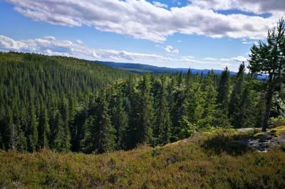 Millioninntekter eller ansvarlig forvaltning?