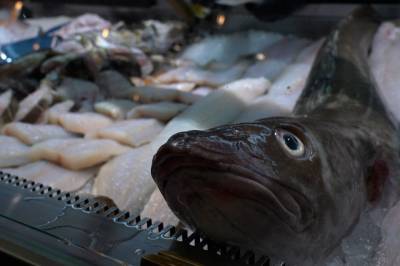 Slik serverer du persetorsk