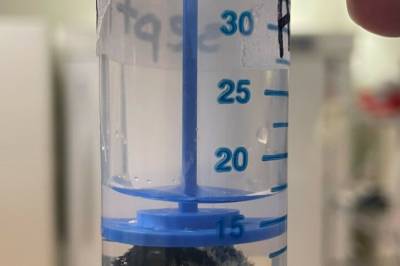 Slik overlevde humlene å være under vann i over en uke