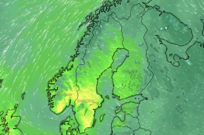 Rekorder kan stå for fall