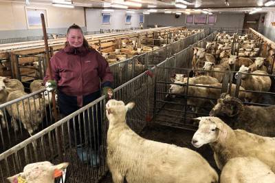 20 spørsmål: Livet for Live