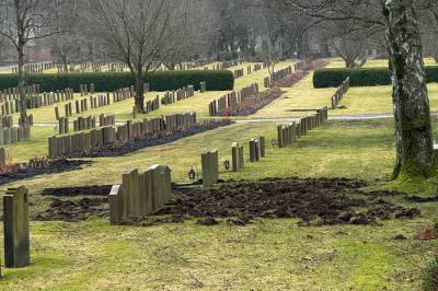 Villsvin graver på graver: Helt sjukt!