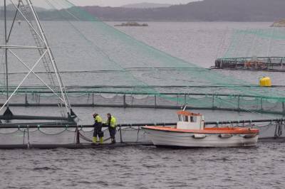 Oppdretterne som skal fornye havbruket står i spagaten. Ingen viser dem veien ut av den