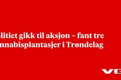 Politiet gikk til aksjon – fant tre cannabisplantasjer i Trøndelag