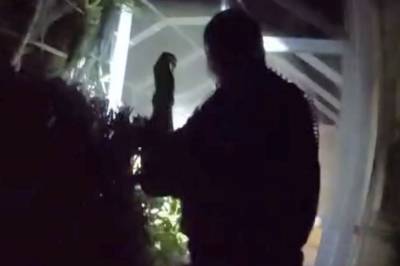 Fanger kaldblodig innbryter