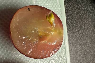 Druer fra Extra: – Litt provoserende