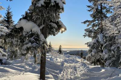 Her er et sjette råd!