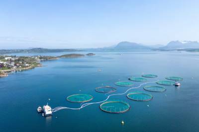 Mowi med toll-søksmål mot Trump-regjeringen