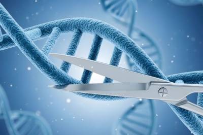 CRISPR: Det er uhyre viktig å omfavne det medisinske potensialet vi er i besittelse av