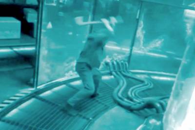 - Herregud, han kan jo være norsk