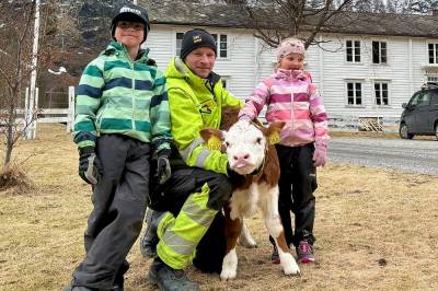 width=device-width, initial-scale=1, viewport-fit=cover