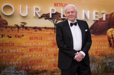 Attenborough fyller 100 – feires med ny TV-dokumentar