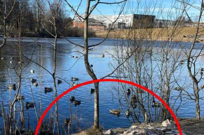 Dette synet møtte Geir i det populære turområdet