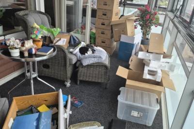 Legger seg flat etter dette: – Ingen god unnskyldning