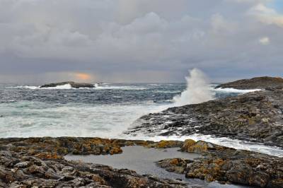 På havbunnenen i Norskehavet fant forskerne noe helt spesielt