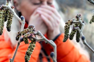 Astma- og allergiforbundet med klar beskjed: Begynn med pollenmedisin nå