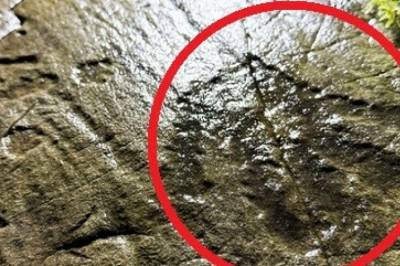 Norsk jubelfunn: - Ekstra sjeldent