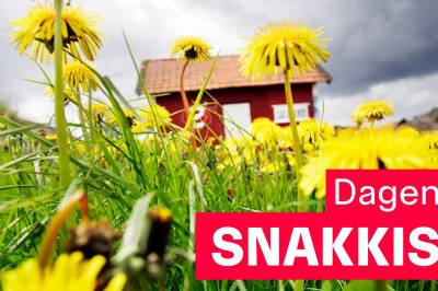 Sommergjesten fra helvete - ikke deg, vel?