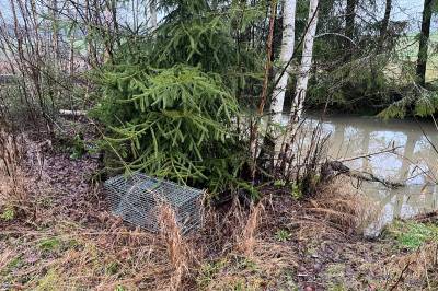 Kommunen måtte rykke ut etter tips: Fant felle