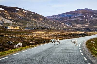 Finnmark har enormt mye plass – men ikke til industri og arbeidsplasser